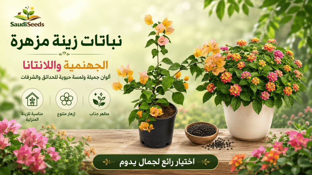 نباتات تتحمل حرارة السعودية: ما المناسب للداخل والخارج؟