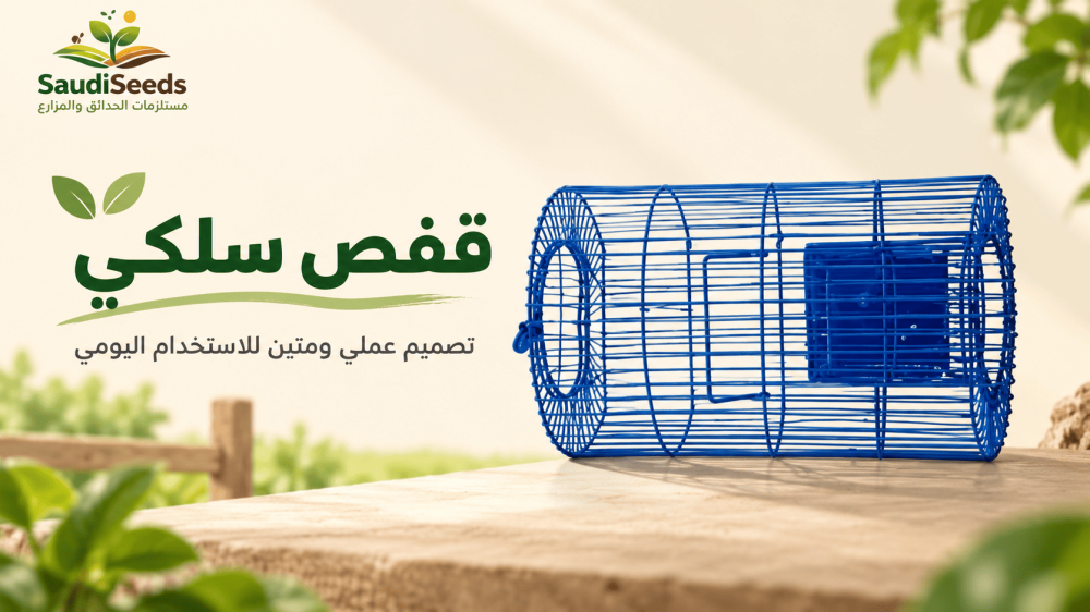 كيف أتخلص من الفأر في المصيدة بطريقة آمنة؟