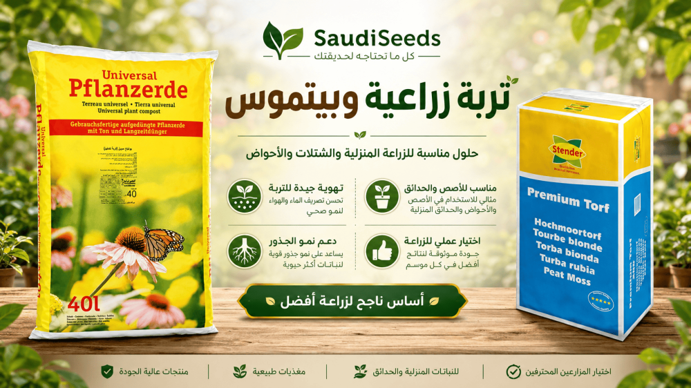 أفضل أنواع التربة للزراعة المنزلية وكيف تختارها