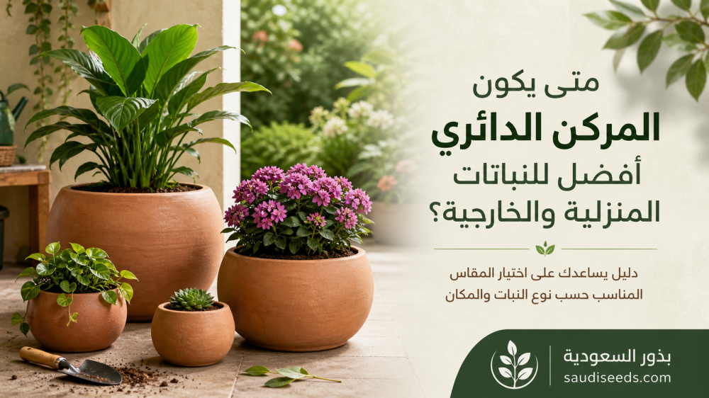 مركن دائري للنباتات: متى يكون الخيار الأفضل؟