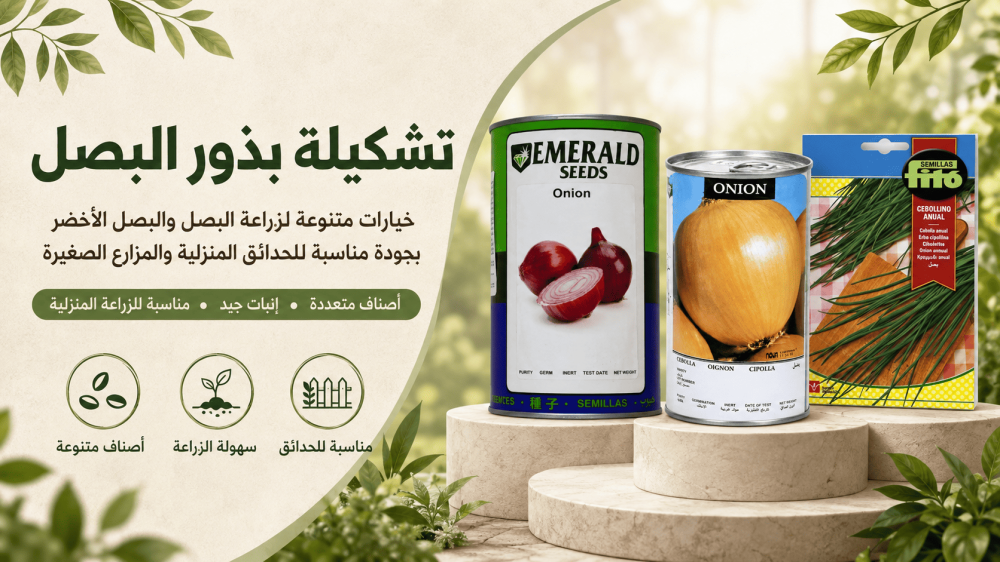 الفرق بين البصل الأحمر والأصفر والأخضر في الزراعة والاستخدام
