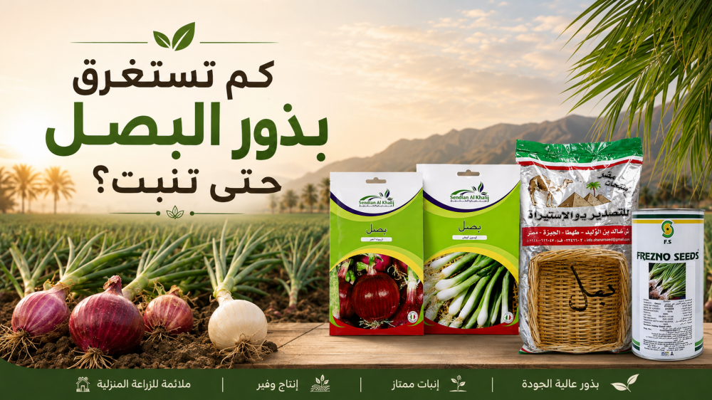 كم تستغرق بذور البصل حتى تنبت؟