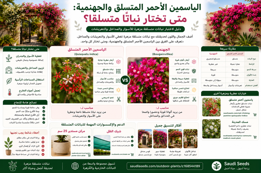 الياسمين الأحمر المتسلق والجهنمية: متى تختار نباتًا متسلقًا؟
