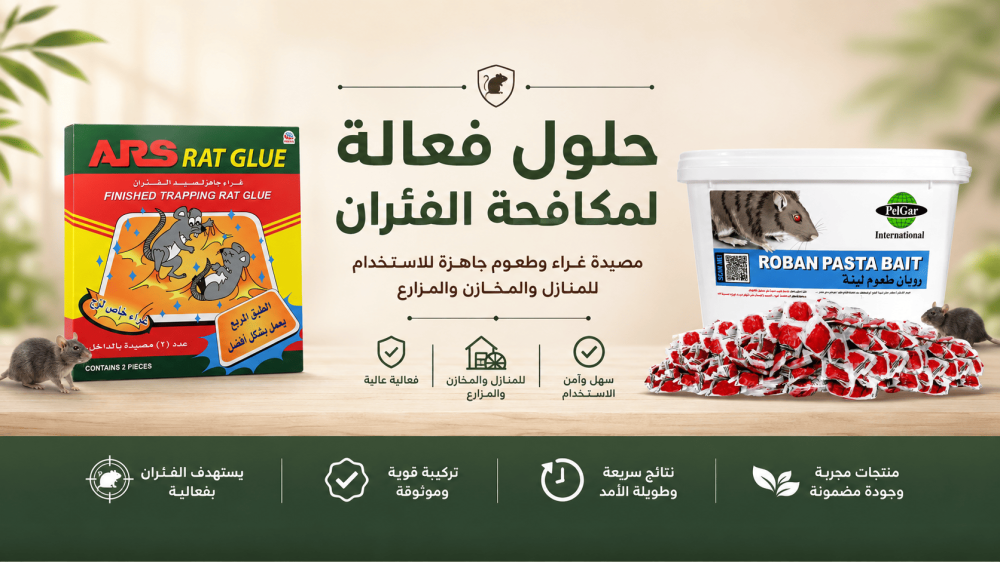 أفضل طريقة لمكافحة الفئران في المنزل خطوة بخطوة