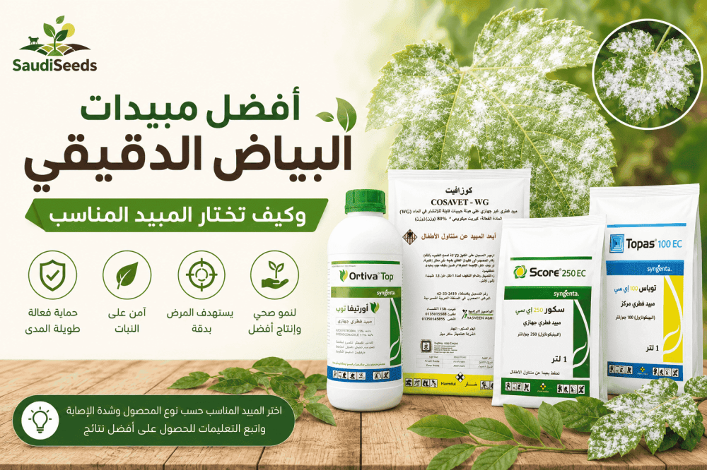 ما هي أفضل مبيدات البياض الدقيقي؟ وكيف تختار المبيد المناسب؟