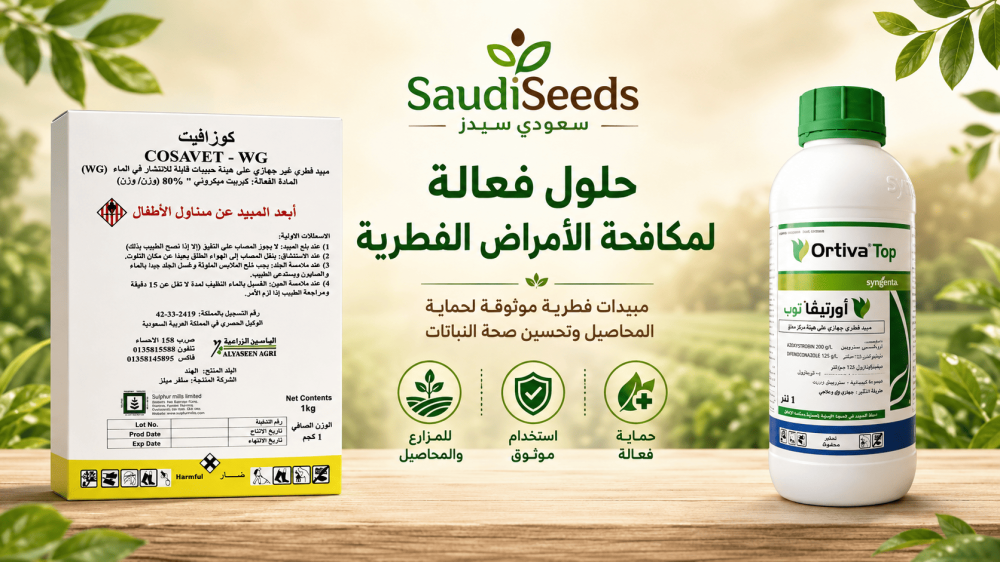 كيف يتم القضاء على البياض الدقيقي؟ أفضل طرق العلاج