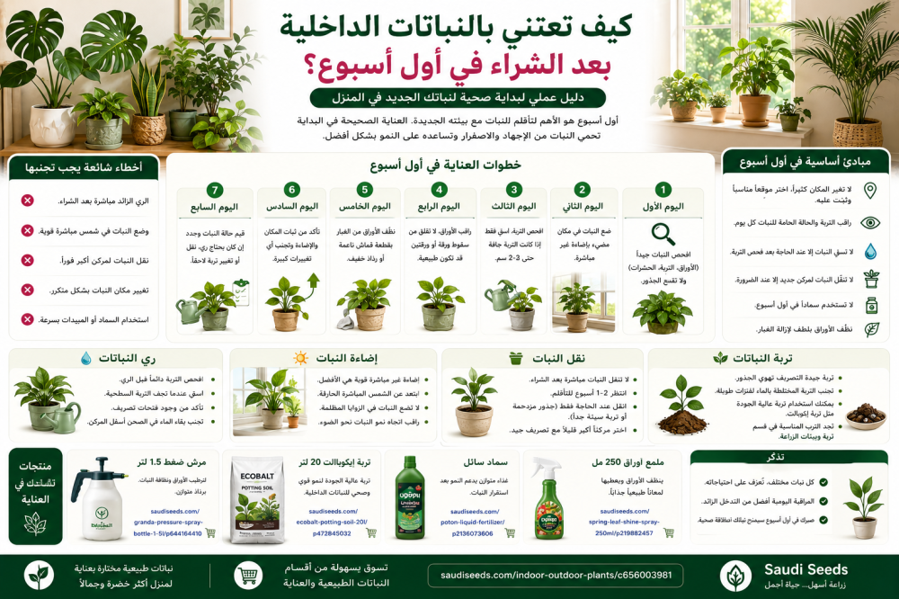 كيف تعتني بالنباتات الداخلية بعد الشراء في أول أسبوع؟