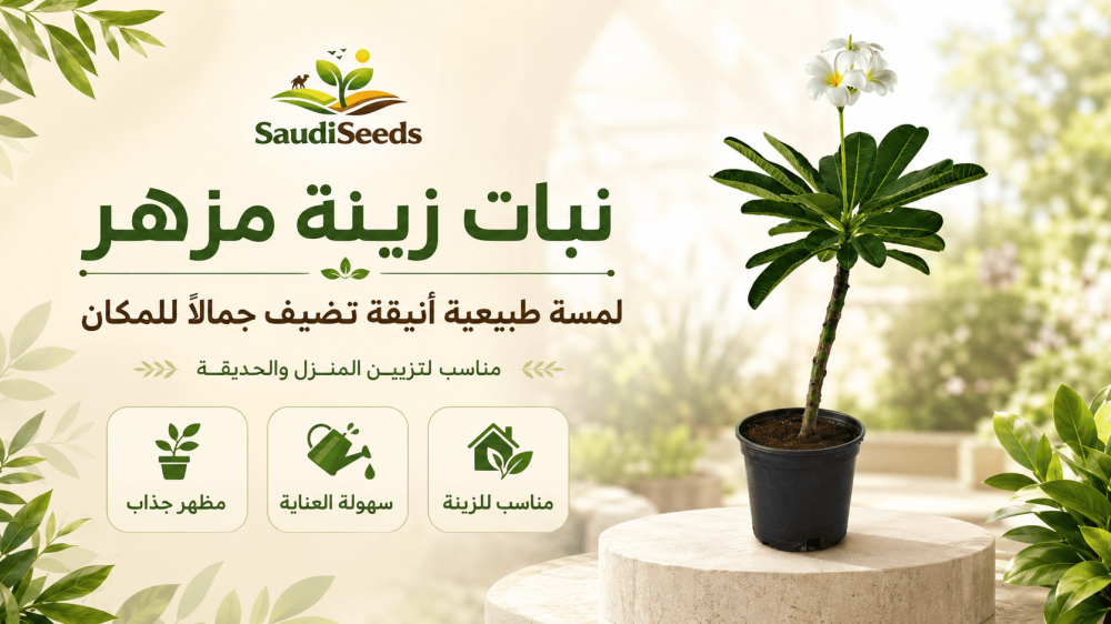 هل يعيش الياسمين الهندي داخل المنزل وكيف تعتني به؟