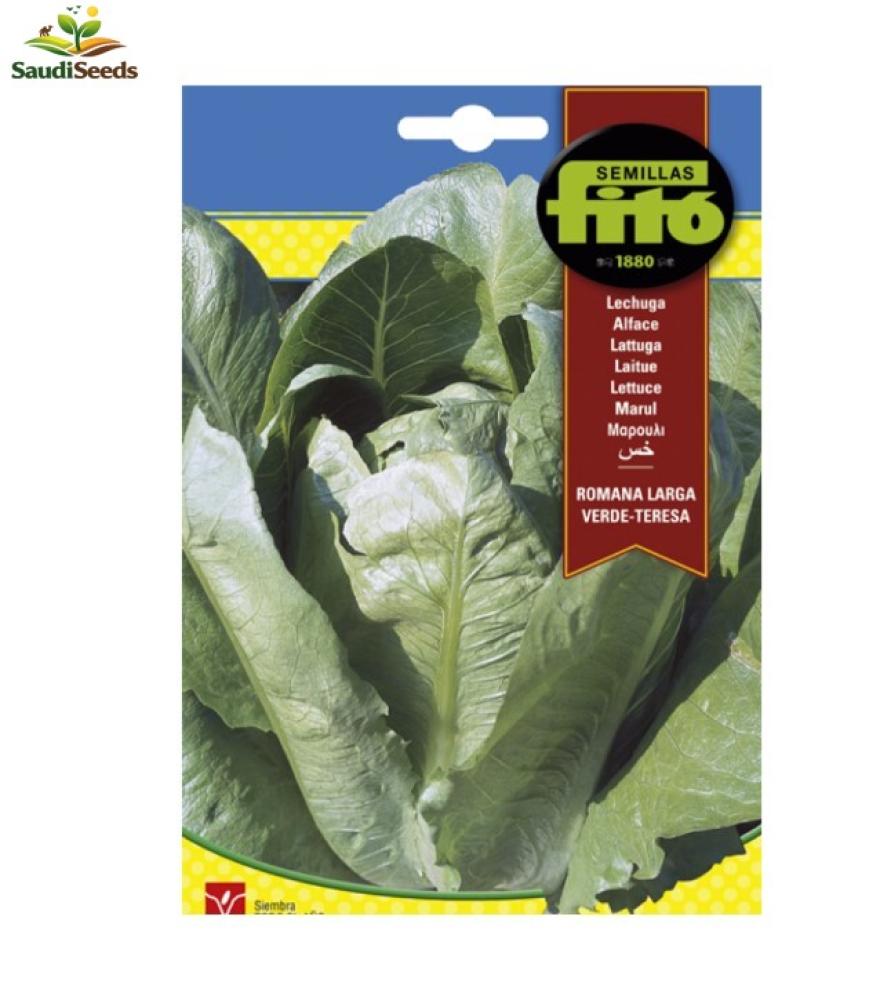 بذور خس رومانا فيردي 8 جرام Romaine Lettuce Verde Seeds