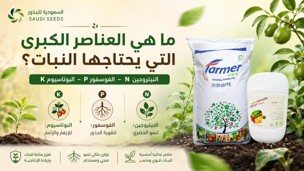 ما هي العناصر الكبرى التي يحتاجها النبات