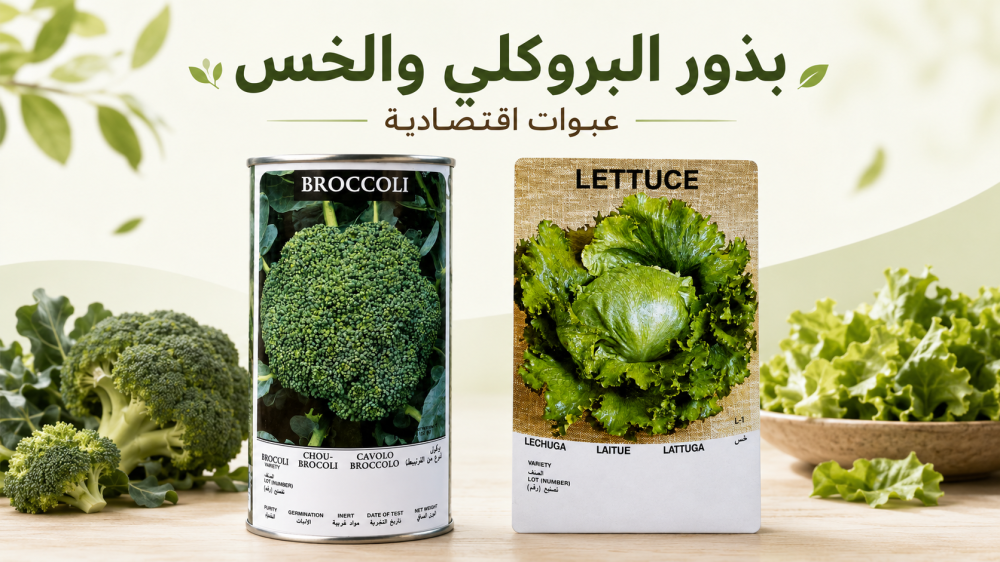كيف تختار البذور حسب الموسم في السعودية؟