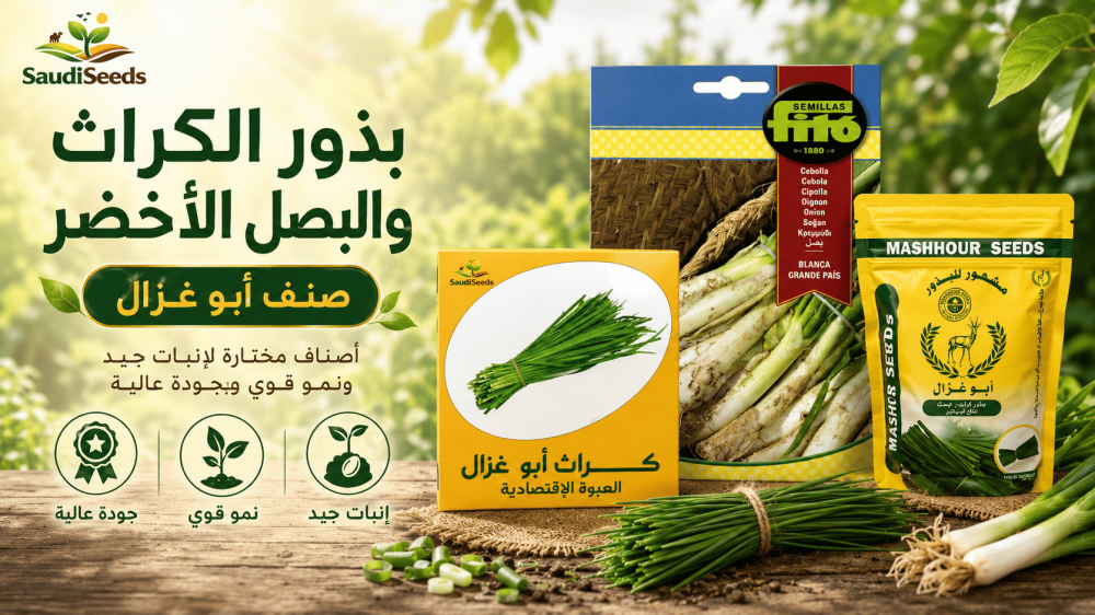 الفرق بين الكراث والبصل الأخضر في الزراعة والاستعمال