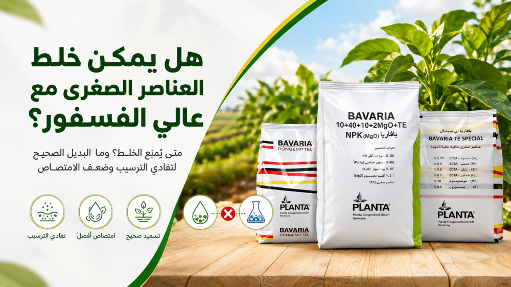 متى يتم رش العناصر الصغرى للنبات