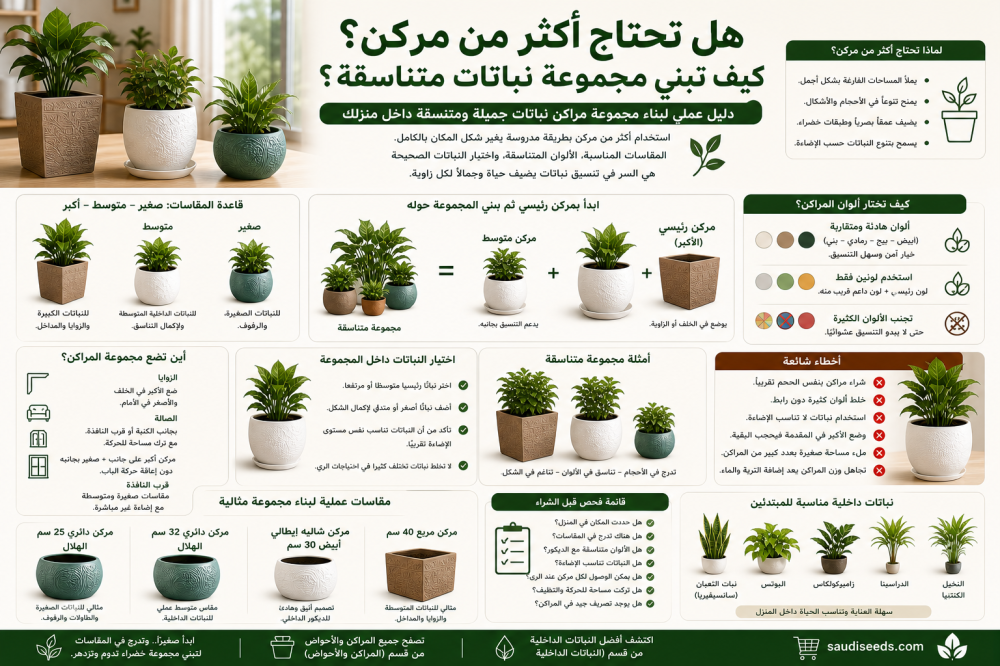 هل تحتاج أكثر من مركن؟ كيف تبني مجموعة نباتات متناسقة؟