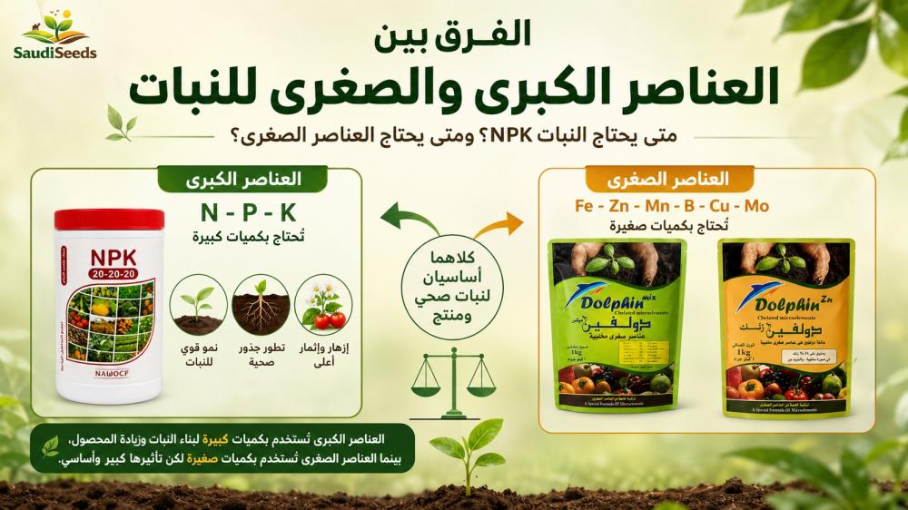 الفرق بين العناصر الكبرى والصغرى للنبات