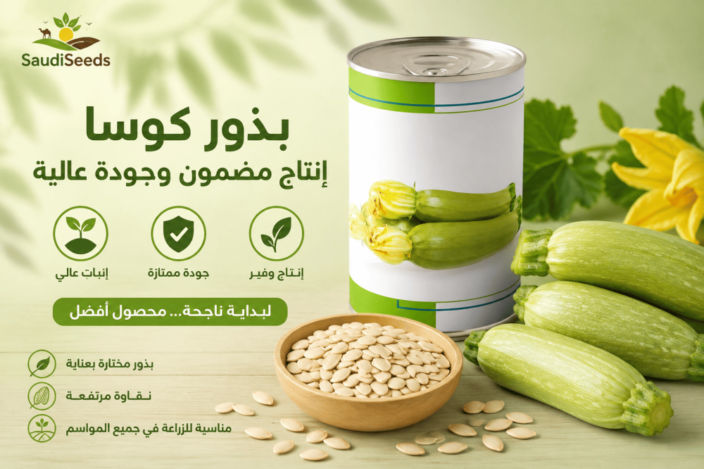 كيف تختار صنف الكوسة المناسب للبيت أو المساحات الأكبر؟