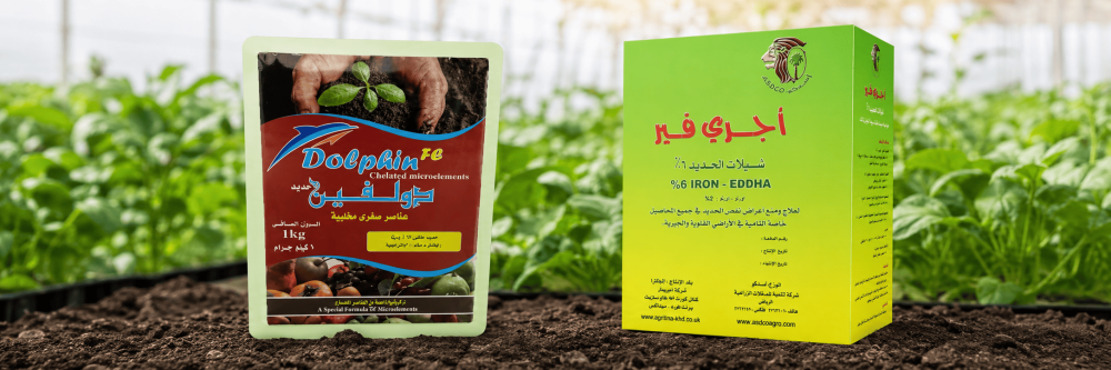 أعراض نقص الحديد في النبات وكيف تميزها قبل العلاج
