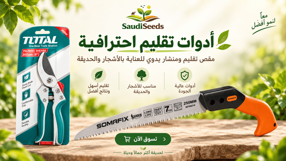 ما هو الشهر المناسب لتقليم الأشجار؟