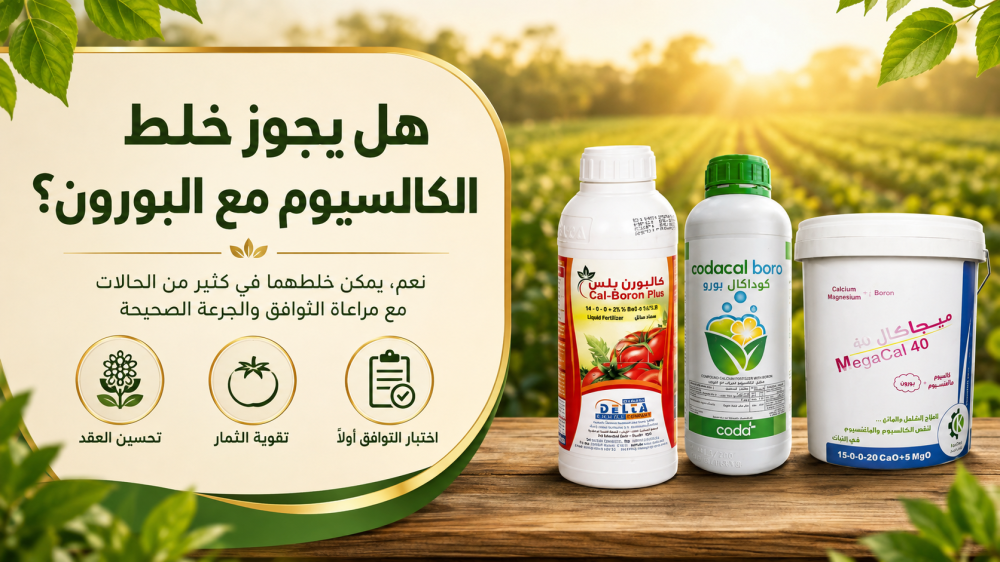 هل يجوز خلط الكالسيوم مع البورون؟