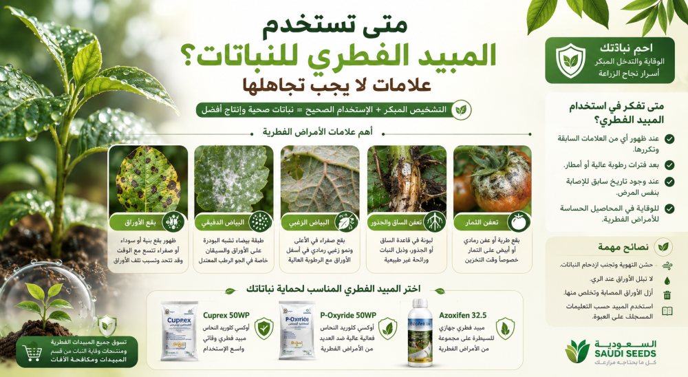 متى تستخدم المبيد الفطري للنباتات؟ علامات لا يجب تجاهلها