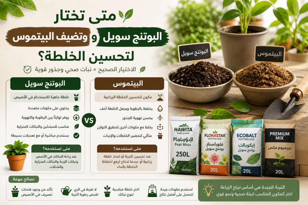 استخدام البيتموس والبوتنج سويل: متى تختار كل نوع؟