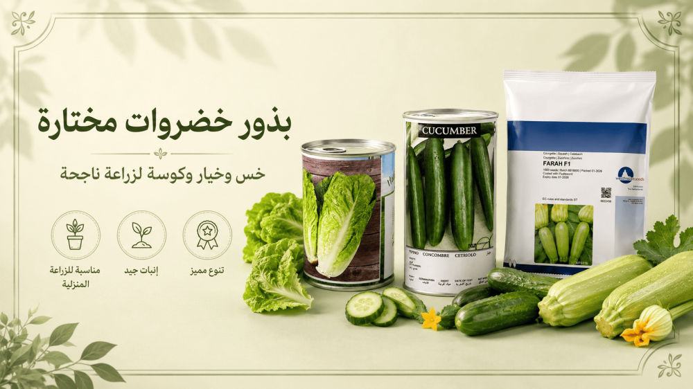 مواعيد زراعة بذور الخضروات في السعودية حسب الموسم