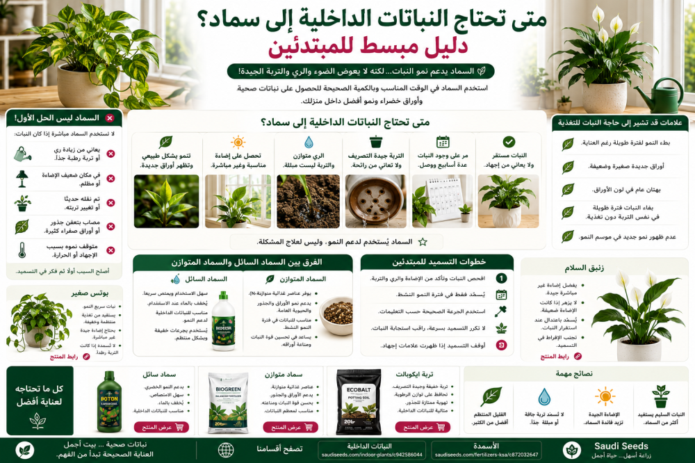 متى تحتاج النباتات الداخلية إلى سماد؟ دليل مبسط للمبتدئين