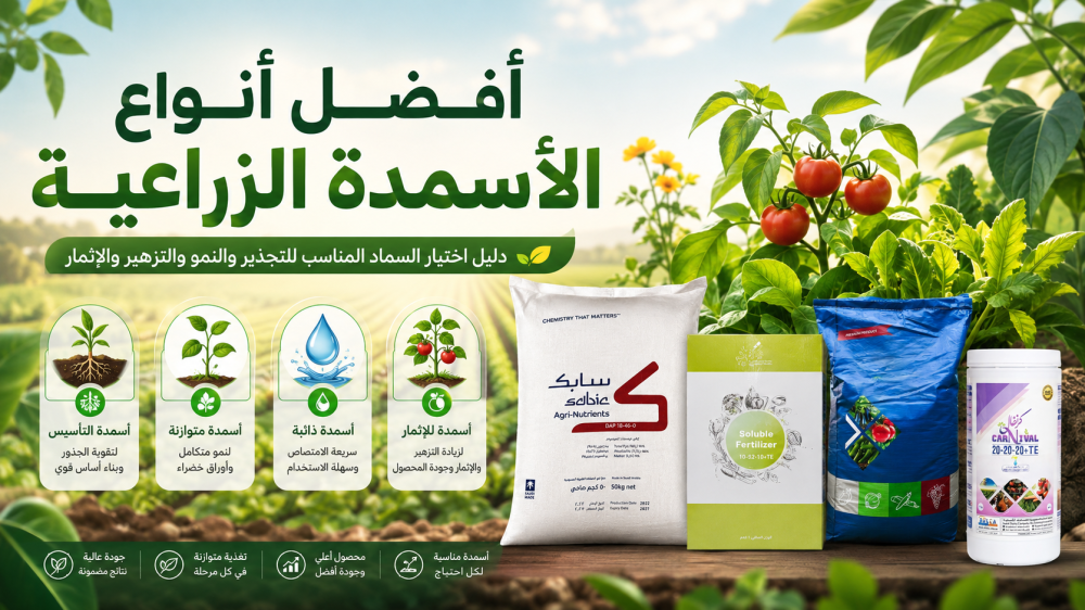 أفضل أنواع الأسمدة الزراعية