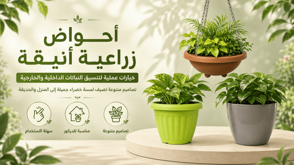 أنواع المراكن للنباتات وكيف تختار المركن المناسب؟