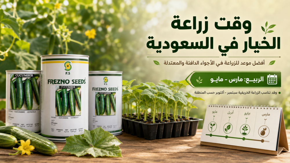 وقت زراعة الخيار في السعودية