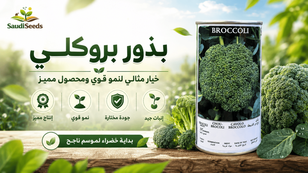 أضرار براعم البروكلي: متى تصبح غير آمنة ومن يجب أن يتجنبها؟