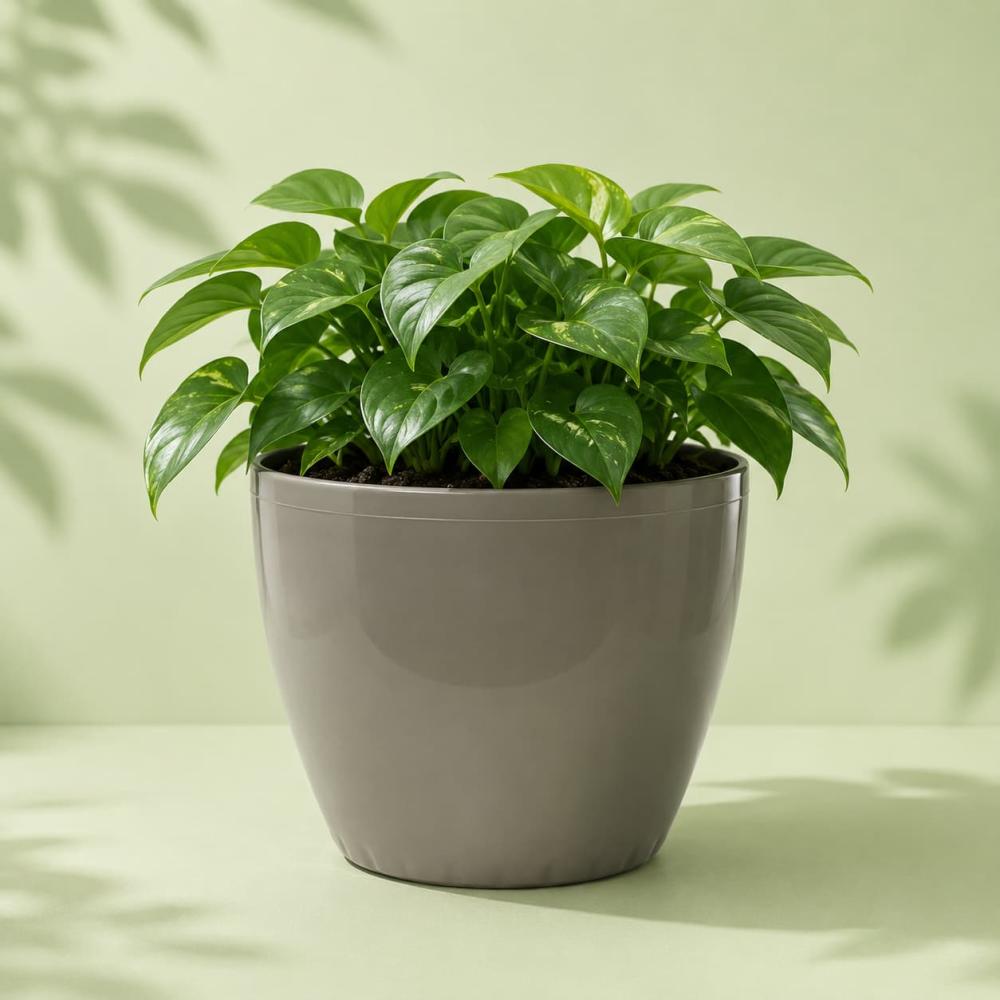 مركن يوناني Go Green بني مقاس 35 سم