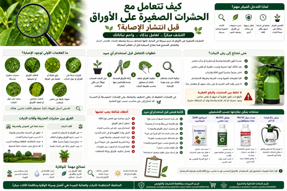حشرات صغيرة على أوراق النبات