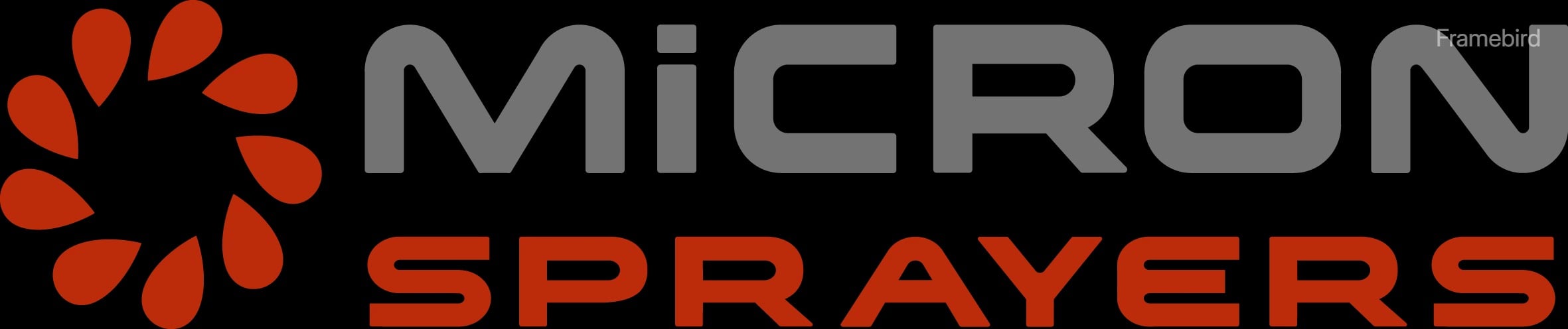 Micron