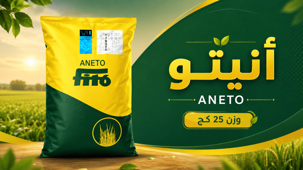 طريقة زراعة السورجم من البذور حتى الحش خطوة بخطوة