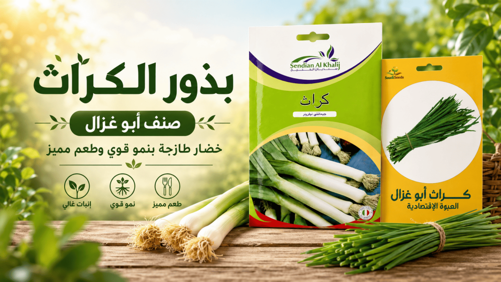 فوائد بذور الكراث للزراعة وكيف تختارها