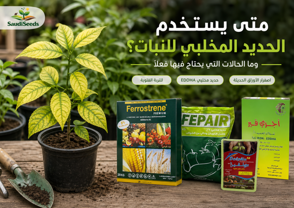 متى يستخدم الحديد المخلبي للنبات؟