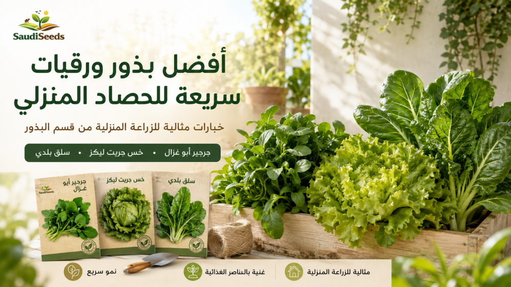 أفضل بذور ورقيات سريعة للحصاد المنزلي من قسم البذور