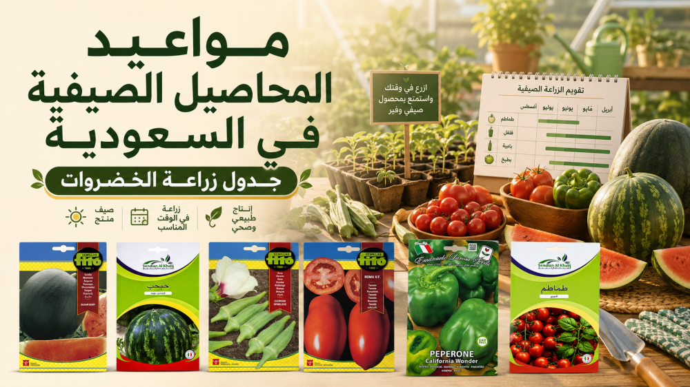 مواعيد المحاصيل الصيفية في السعودية: جدول زراعة الخضروات