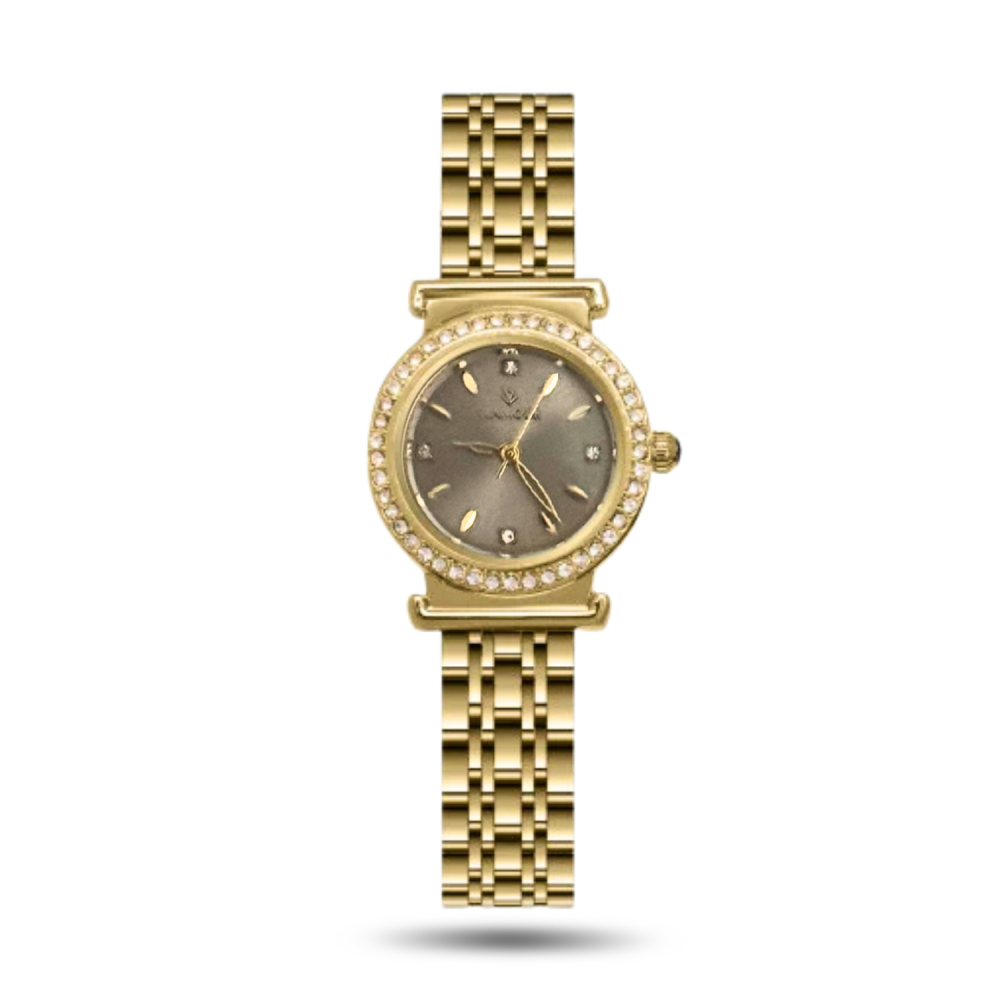 ساعة نسائيه  ستيل ذهيي مينا رصاصي VLA02113