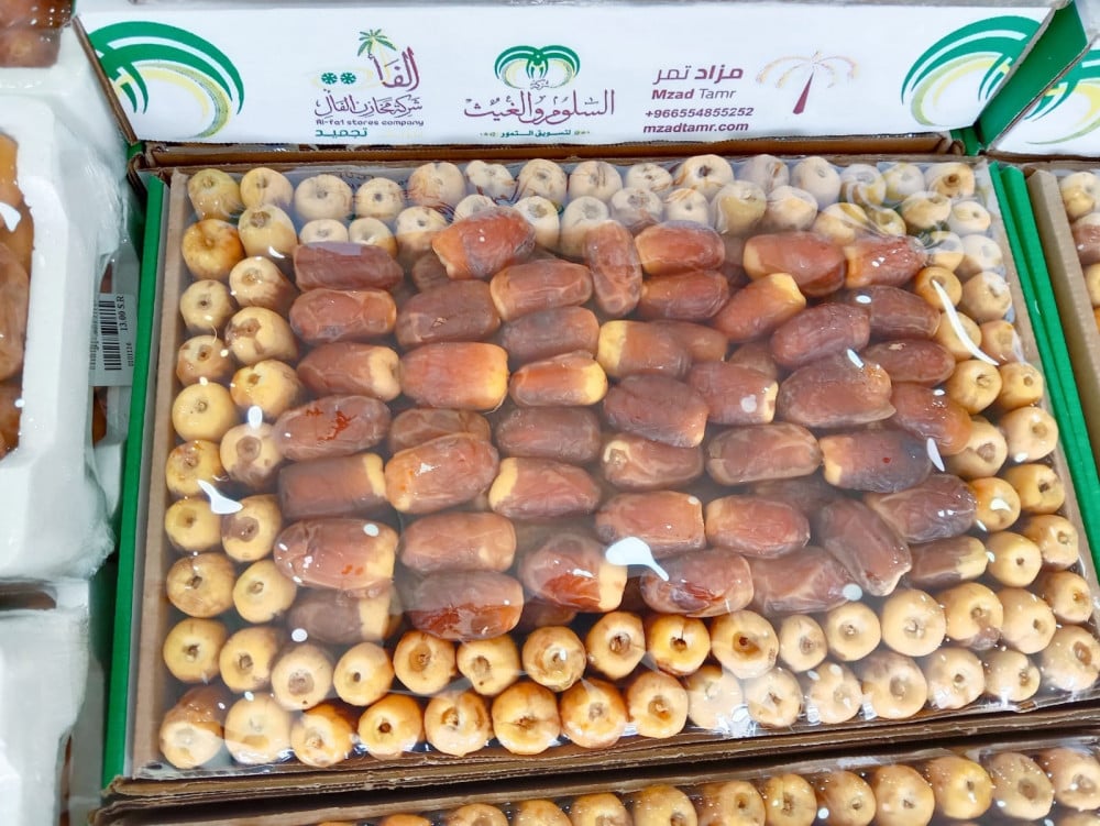 صقعي قاخر كرتون كبير