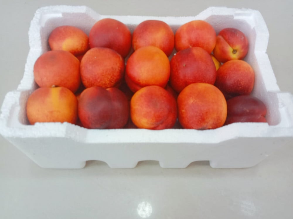 نكتارين  علبة