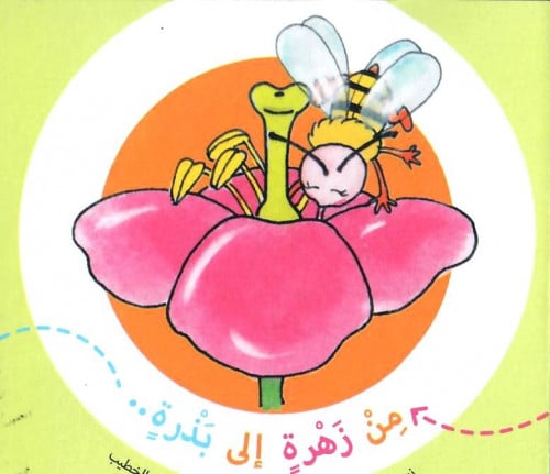 من زهرة إلى بذرة