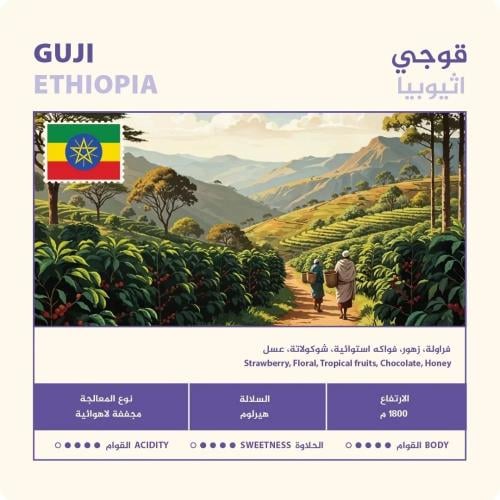 محمصة نهج - إثيوبيا قوجي , مجففة 250g