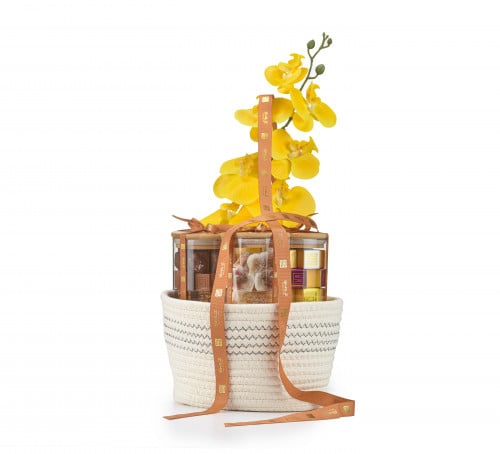 Shilz Jar Basket - سلة جار شلز