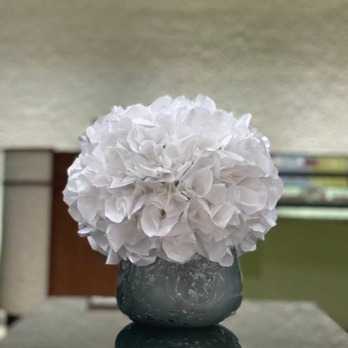 صينية سيراميك أبيضChocolate Pouch Glass Vase Sky B...