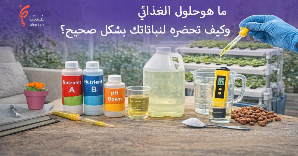 محلول غذائي