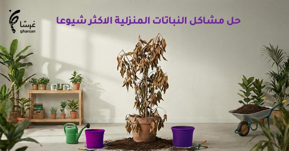 مشاكل النباتات