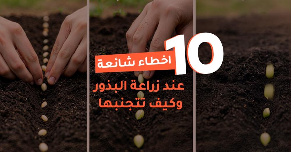 طريقة الزراعة