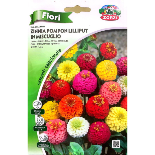 زينية Zinnia